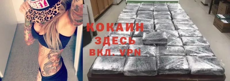 Кокаин Fish Scale  где купить   Кстово 